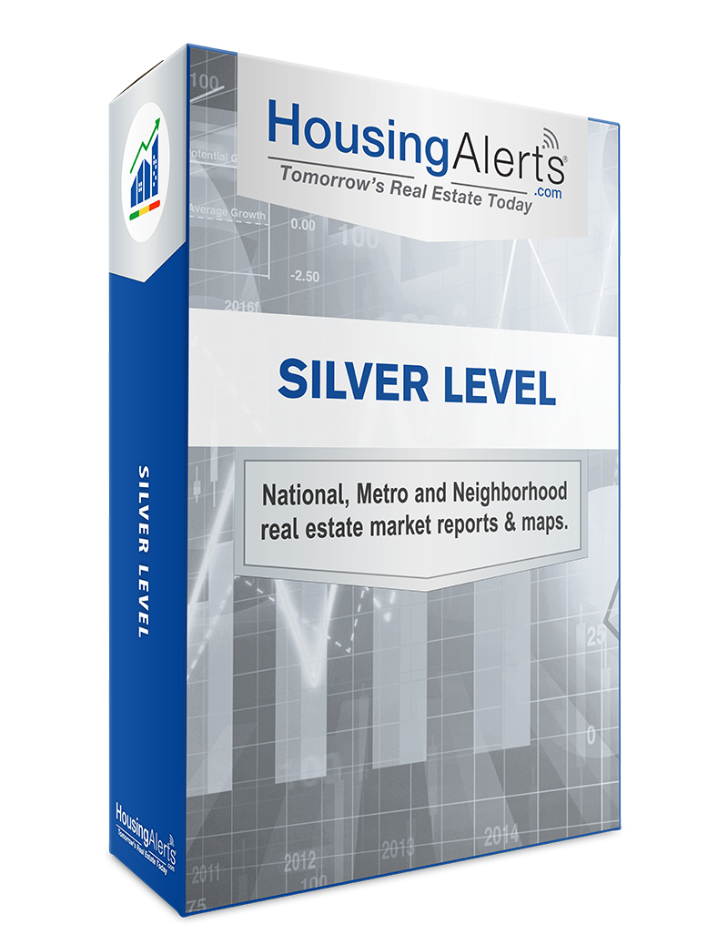 Silver Level